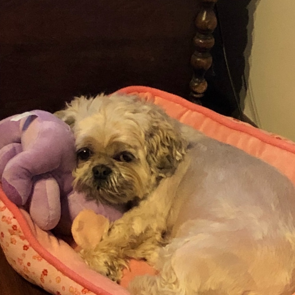 Meet your Posher, Kristi